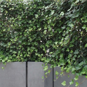 Terrasse à Düsseldorf : Ensemble de jardinières patinées Zinc clef en main !