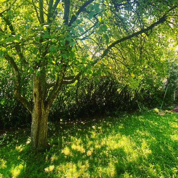 Horizontal full privacy fence