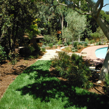 Pool Landscape Makover