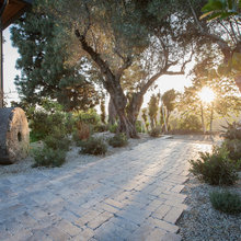 hardscapes