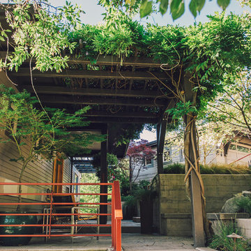 Arbor Shaded with Wisteria