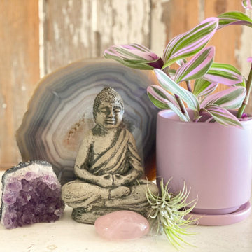 Indoor Botanicals