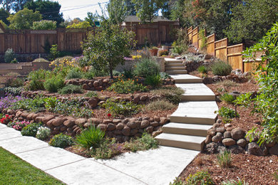 Design ideas for a contemporary landscaping in San Francisco.