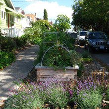 Parking Strip Veg