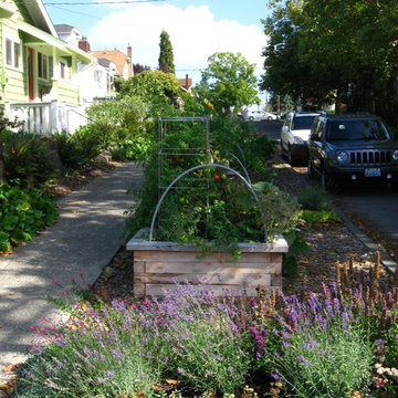 Wallingford Vegetable Beds