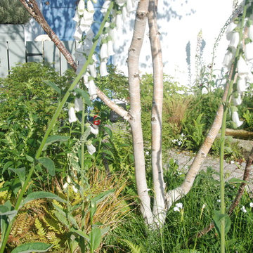 Bloom Gold Medal Garden