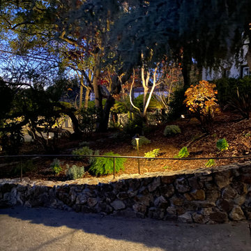 Berkley Hills lighting project