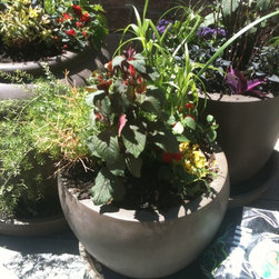 Designer Planters for sale - Outdoor Pots And Planters