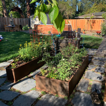 Raised Garden Beds