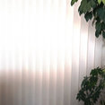 Foto de perfil de Cortinaplus