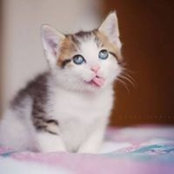 Phyllis Oiler's photo