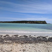 Casey Newton's photo