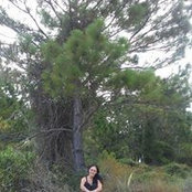 Stephanie Borge's photo