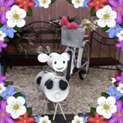 Sandra Neill's photo