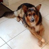 Helena Corcoran's photo