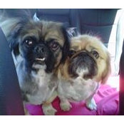 Cindy Mouton's photo