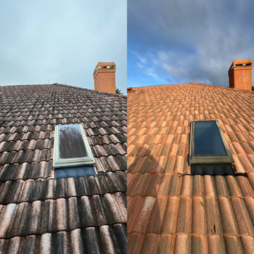 Tile Roof Soft Wash - New Smyrna Beach