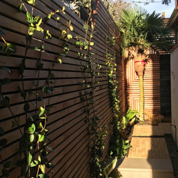 Tiny courtyard garden, Acton
