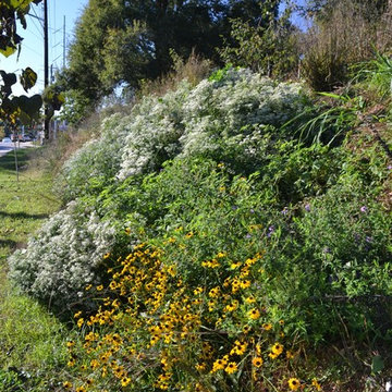 Lake Claire Community Land Trust Meadow