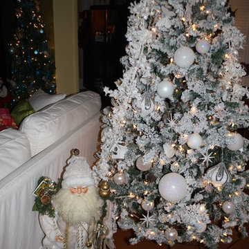 Florida Christmas