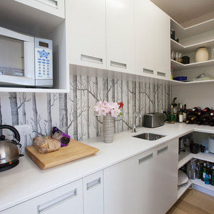 Large beach style kitchen pantry pictures - Example of a large coastal galley light wood floor kitchen pantry design in Other with an undermount sink, flat-panel cabinets, white cabinets and stainless steel appliances