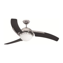 Ceiling Fans