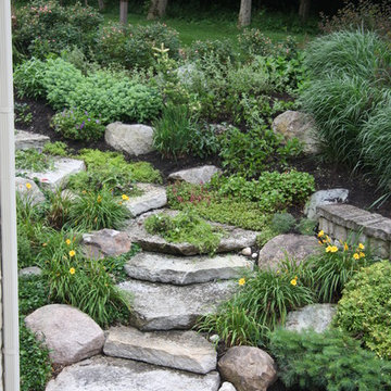 Woods backyard