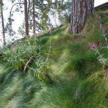 IdealMow Meadow