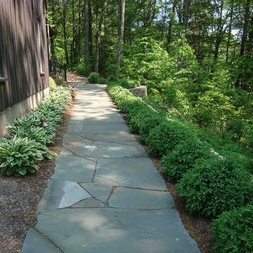 Shady Entryway