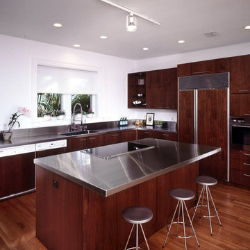Contemporary Kitchen Remodels