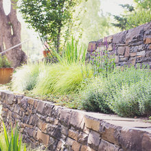 Plantings