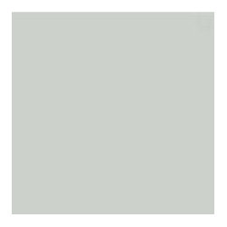 Sherwin Williams - Sea Salt SW6204 - Paint