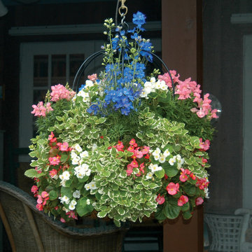Hanging Baskets