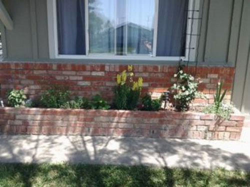 What To Plant In Narrow Long Brick Planter - Brick Planter Ideas For Front Of House
