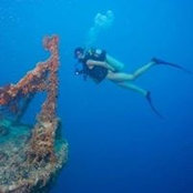Jaclyn Kelley's photo