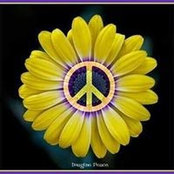 Cheryl Puletti's photo