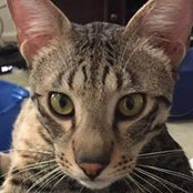 Gary Higgason's photo