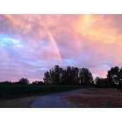 Audrey Bush's photo