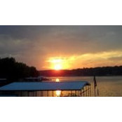 Sandy Flowers's photo