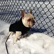 Michael Mafrici's photo