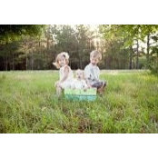 Laura Patterson's photo