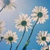 Carol Erikson's photo