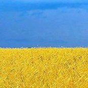 Alexander Varvaridze's photo