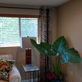 Terrence Howell Home Staging and Art's profile photo