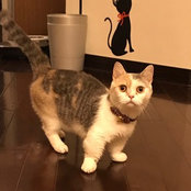 Eva Chang's photo