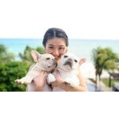 Jacqueline Chan's photo