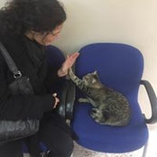 Foto von Ruyaa Dunya