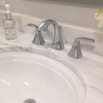 Bath Remodel with Arabescato Polished Marble