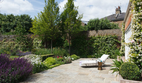 How to Design a South-facing Garden