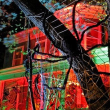 Buffalo Halloween